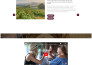 build tour, travel agency website or booking website and landing page